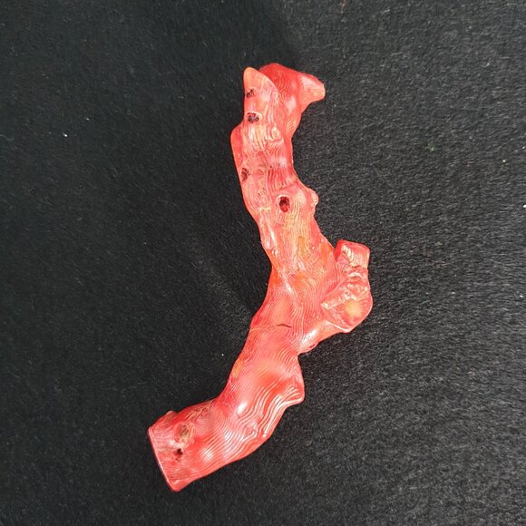 Rare Antique 575 Carat (115 gram) Natural Mediterranean Red Coral Branch - Picture 3 of 11